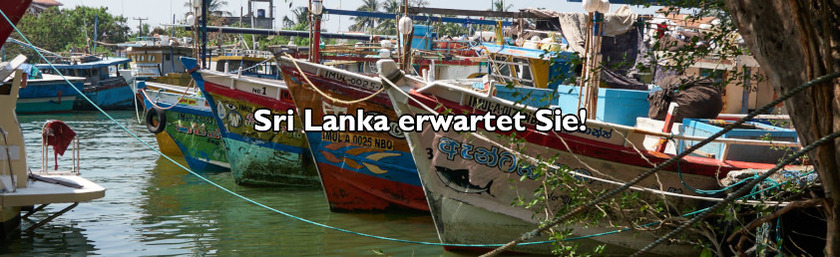 Reisen nach Sri Lanka in Zeiten von COVID19