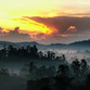 Sri Lanka | Sonnenuntergang hinter Nebelwald