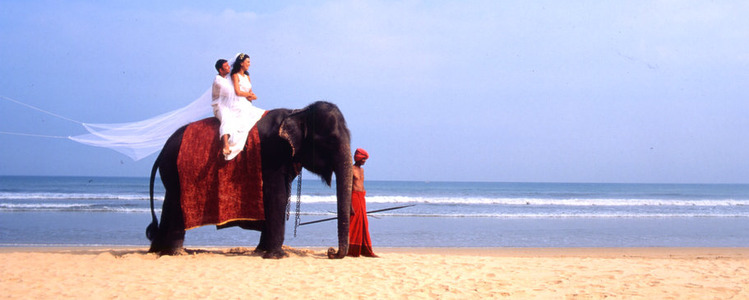 Sri Lanka Urlaub | Hochzeitsreise Sri Lanka Urlaub | Hochzeitsreise