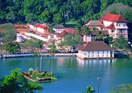 Sri Lanka Urlaub | Lake in Kandy
