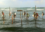 Sri Lanka | Stelzenfischer im Meer