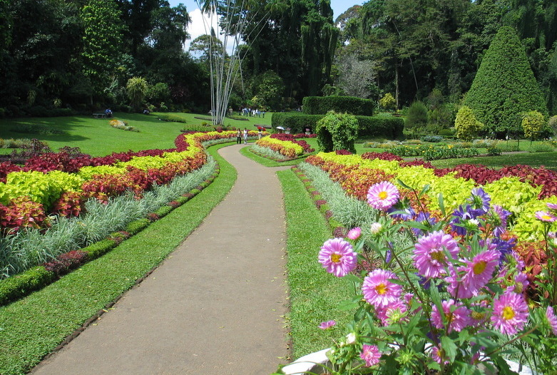 Sri Lanka | Botanischer Garten in Kandy