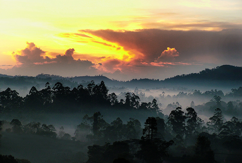 Sri Lanka | Sonnenuntergang hinter Nebelwald