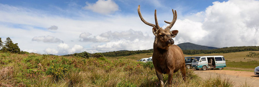 Sri Lanka Reiseziele | Horton Plains
